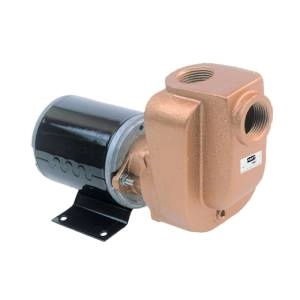 Self-Priming Chemical Pumps Image