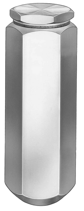 Lubricant Filter