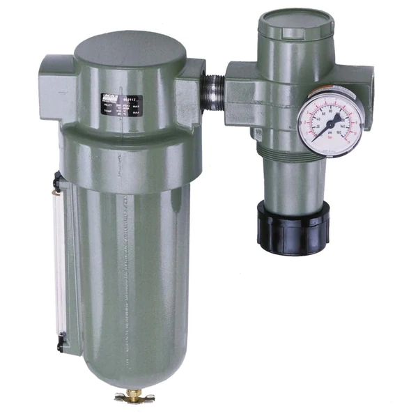 3/4 in. Filter Regulator with Gauge