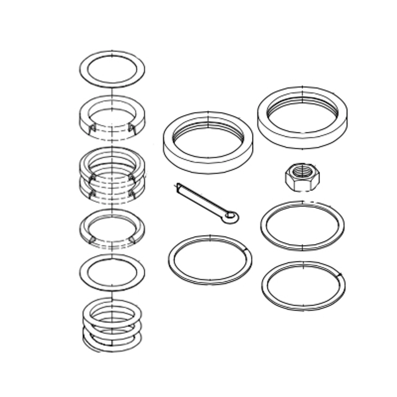 Major Repair Kit for Stainless Transfer Pump