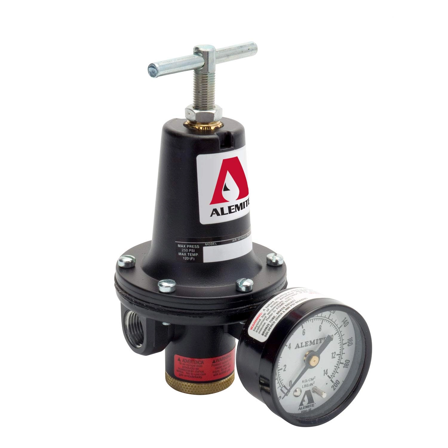 1 in. Air Regulator with Gauge Image