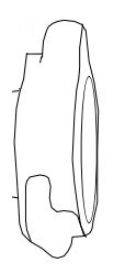 Pump Body Repair Assembly