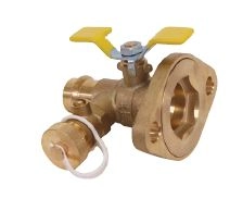2029PP Full Port Flange Ball Valve w/ Purge Port
