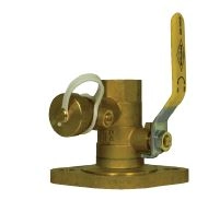 2029PT Full Port Flange Ball Valve w/ Purge Port