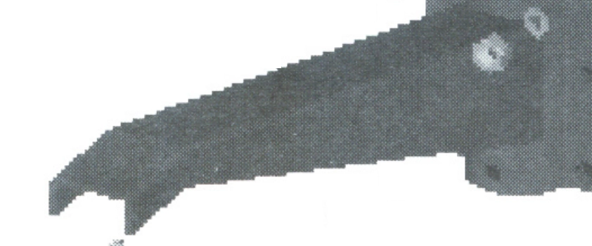Arm Image