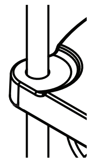 Cap Image