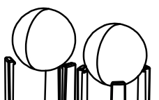 Check Ball Kit