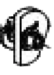 Clutch/Cam Assembly Image