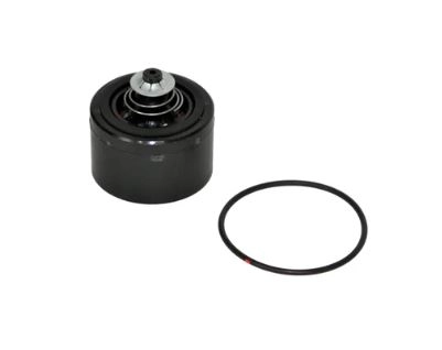 Check Valve Kit for FR700 Series Pumps Image