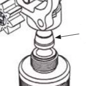 Inlet Strainer