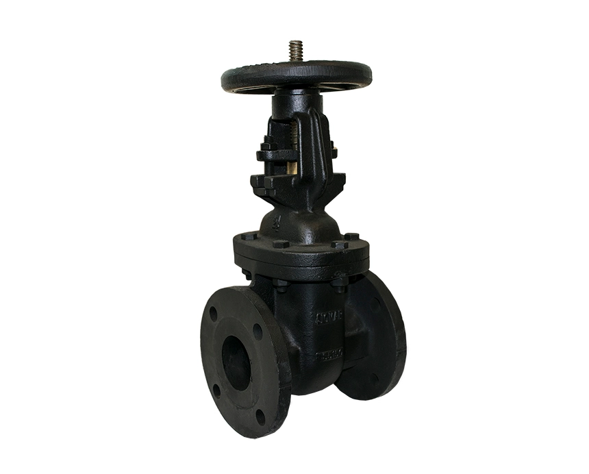 Cast Iron Gave Valve