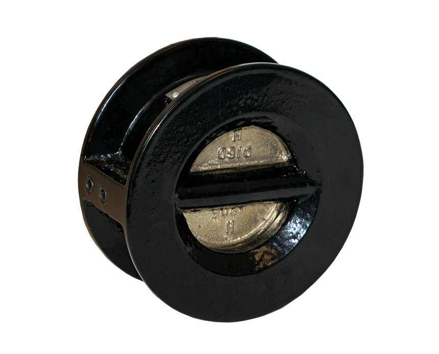 Cast Iron Check Valve