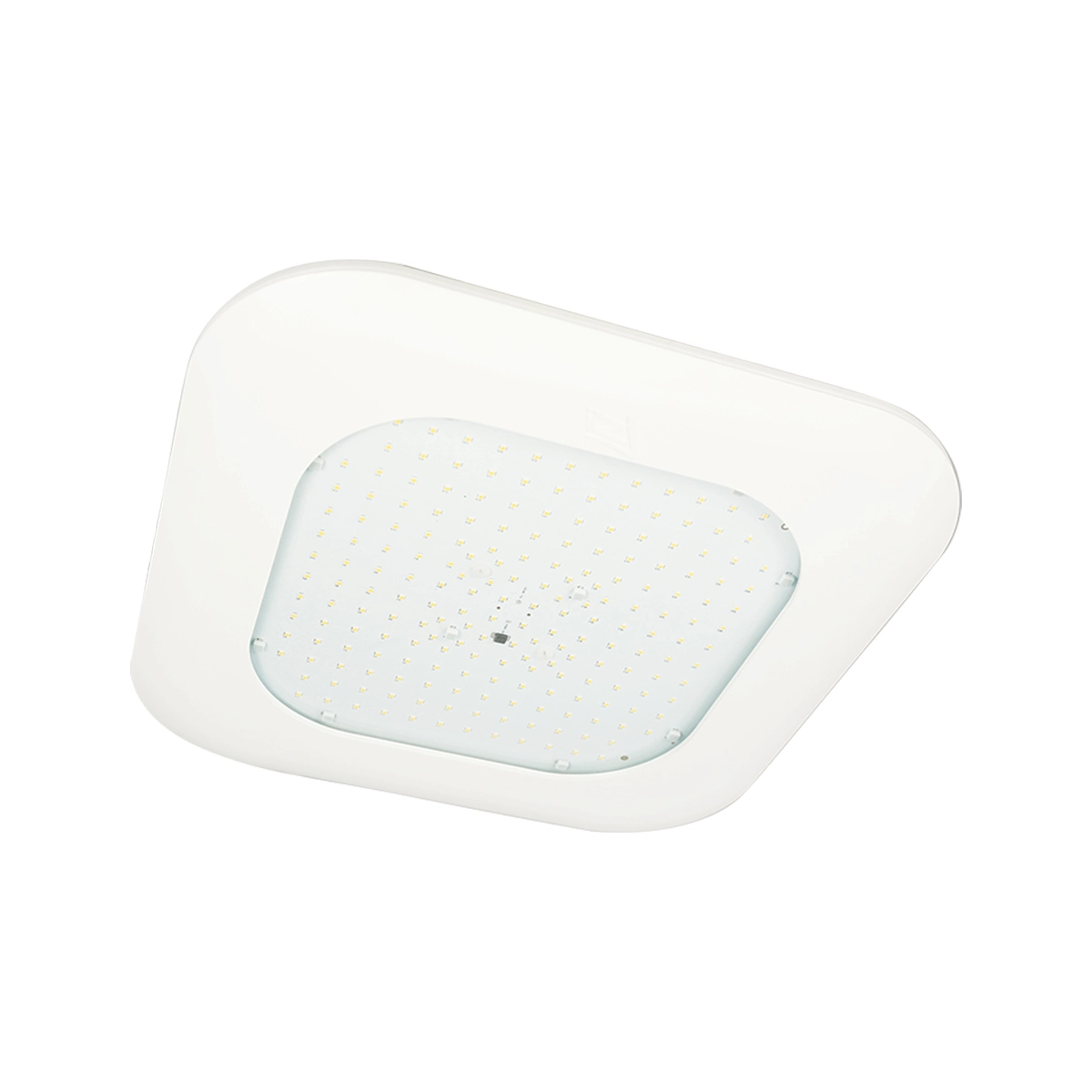 Scottsdale Legacy Asymmettric Canopy Light Image