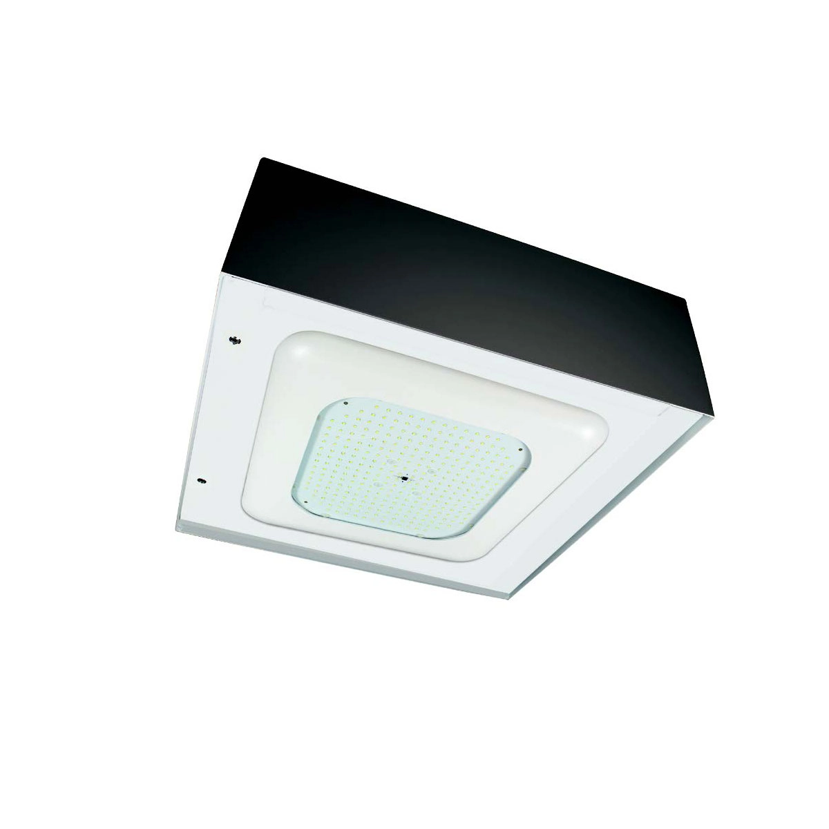 Scottsdale Legacy Universal Superkit 2 x 2 Canopy Light