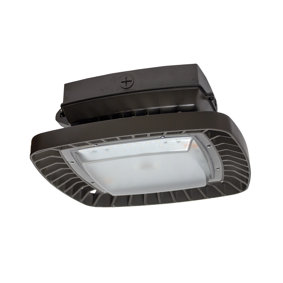 Walkway Canopy Fixture