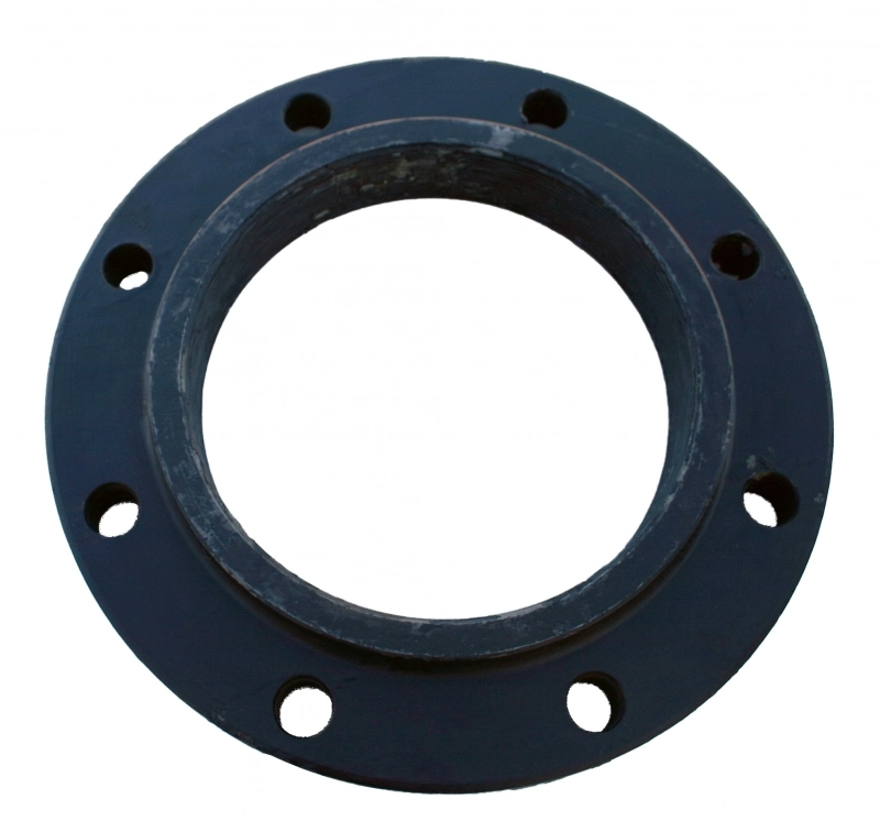 Companion Flange