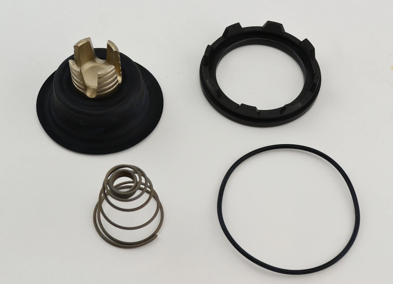 LISK DIGITAL VALVE KIT, Fits Gilbarco