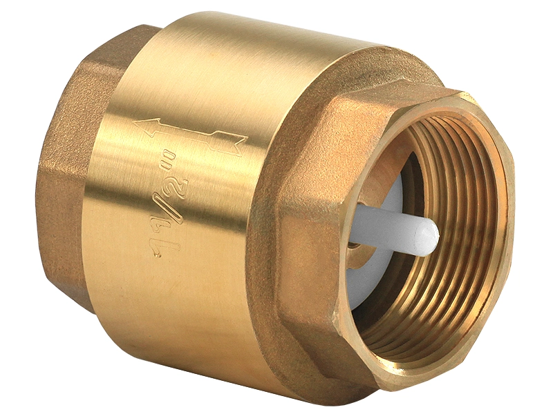 Spring Loaded Check Valve