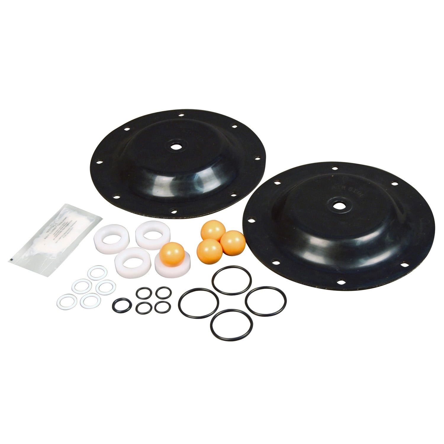 1 in. Diaphragm Pump Kit 1:1 Ratio Image