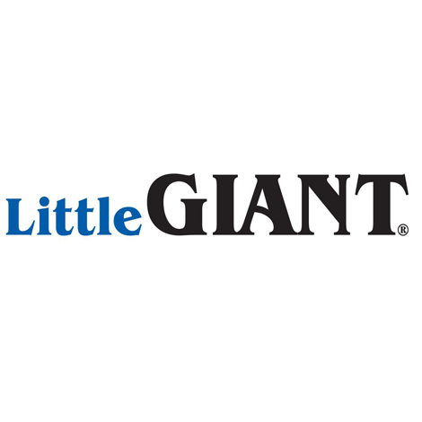Little Giant Image