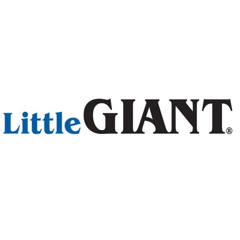 Little Giant Image