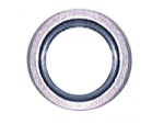 3/4 in. DEF SS /Viton Bonded Seal