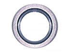 3/4 in. DEF SS /Viton Bonded Seal