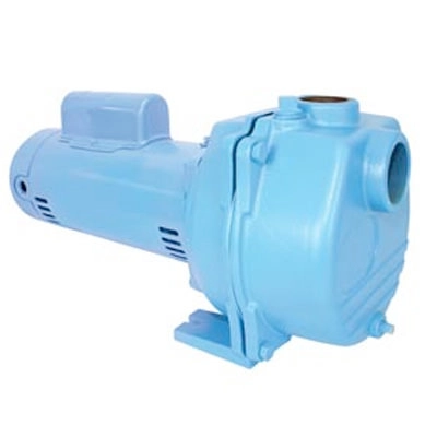 2 in. NPT Sprinkler/Booster Pumps Image
