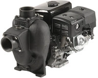 Cast Iron Transfer Pumps Image