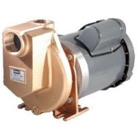 Herbicide & Pesticide Self-Priming Centrifugal Electric Driven Pumps Image