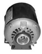 Day Tank Pumps, Motors, and Relative Accessories Image