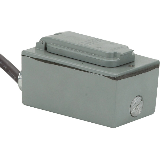 Output, Assembly, Receptacle, Duplex GFCI Image
