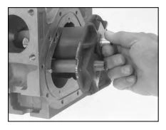 1410 Bearing Plate Assembly, M5 Image