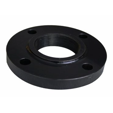Companion Flanges Image