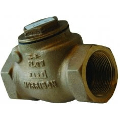 Swing Check Valve