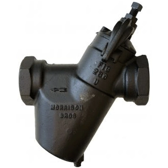 2 in. Line Strainer