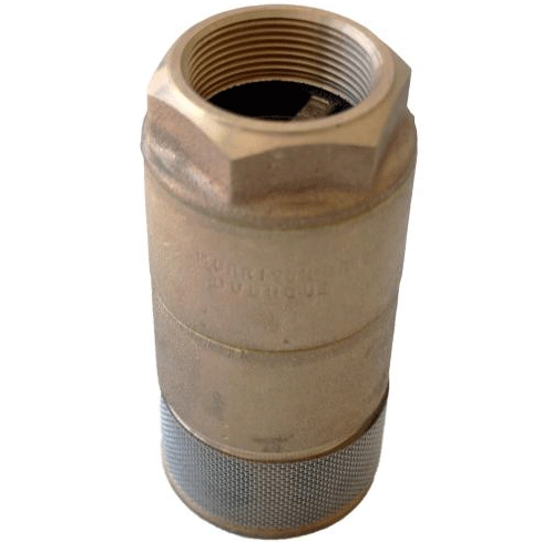 Double Poppet Foot Valve Image