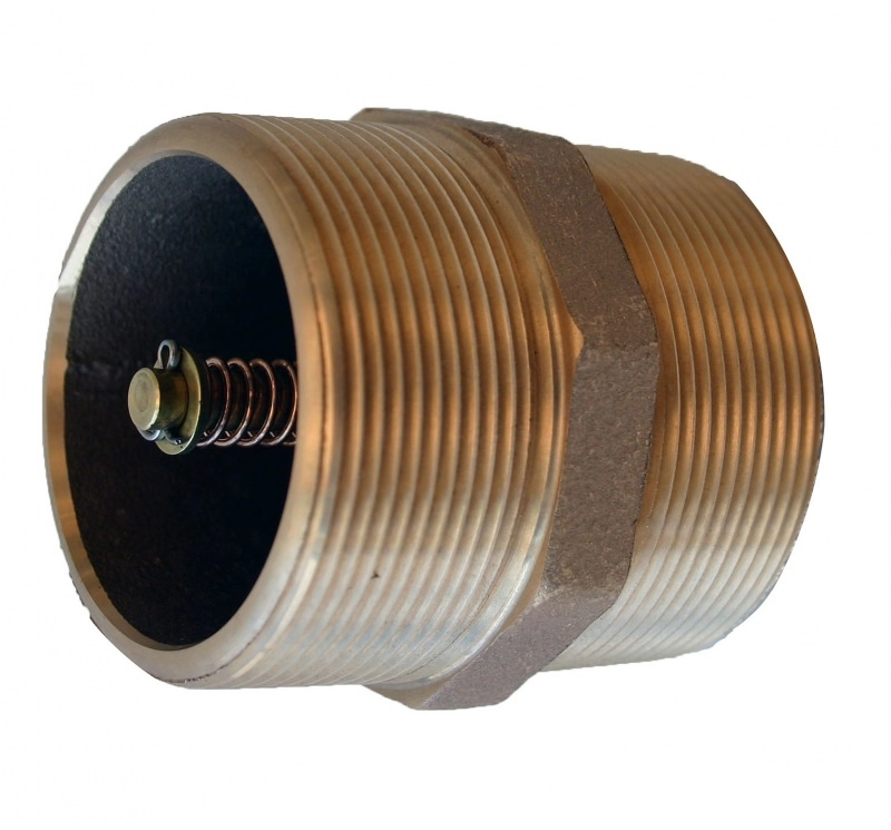 2 in. Nipple Check Valve Image
