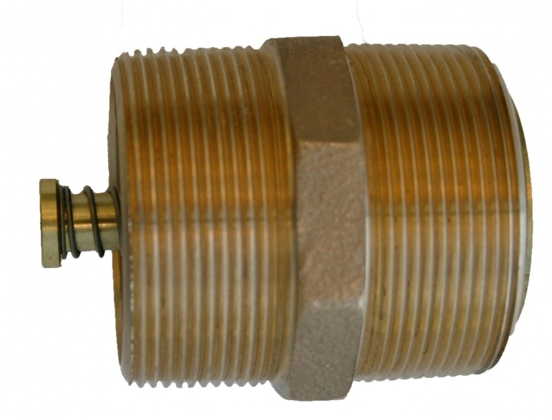 2 in. Nipple Check Valves