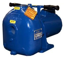 1-1/2 in. Inlet/Outlet, Cast Iron, 1/2 HP, Single or Three Phase, 0.28 in. Solids Handling, Carbon/Ni-Resist Seals
