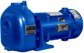 1-1/2 in. Inlet/Outlet, 3/4 HP, Single or Three Phase, 0.28 in. Solids Handling, Carbon/Ni-Resist Seals
