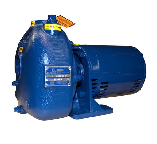 1-1/2 in. Inlet/Outlet, Cast Iron, 1 HP, Single or Three Phase, 0.25 in. Solids Handling, Carbon/Ni-Rsist Seals