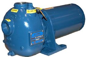 1-1/4 in. Inlet/Outlet, Gray Iron, 1/3 HP, Three Phase, 230/460V, 0.25 in. Solids Handling, Carbon/Ni-Resist Seals