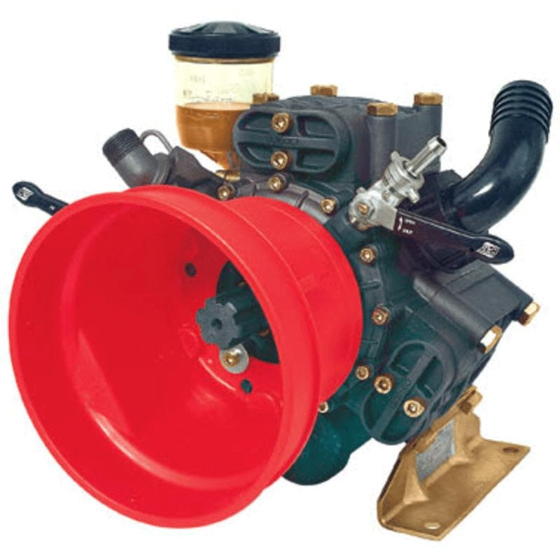 D813GRGI Pump