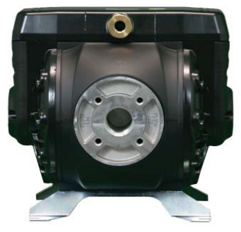 CenterFlo Aluminum Pump Image