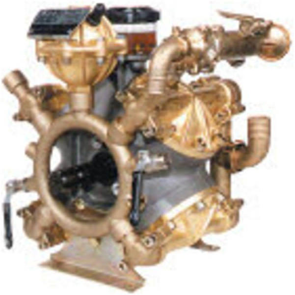 BETA-150/CC Diaphragm Pump Image