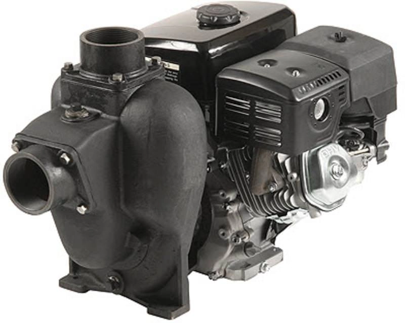1533C-13ESP Transfer Pump Image