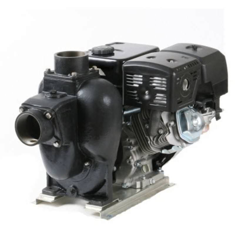 1532C-6SP Transfer Pump