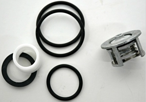 Meter Check Valve Kit, Fits Gilbarco Advantage Dispensers Image