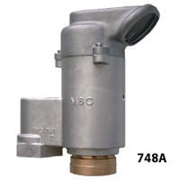 2 in. FNPT, Pressure Vacuum Vents